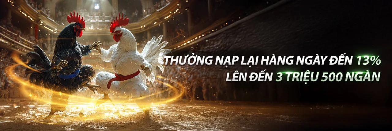 Đá gà trực tuyến hấp dẫn tại Roobet Crash Game