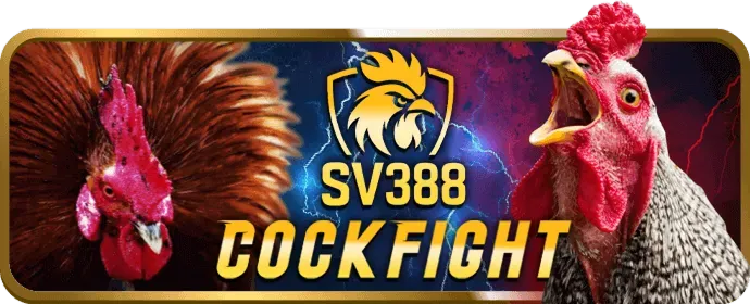 Người chơi Roobet Crash Game ăn mừng chiến thắng lớn